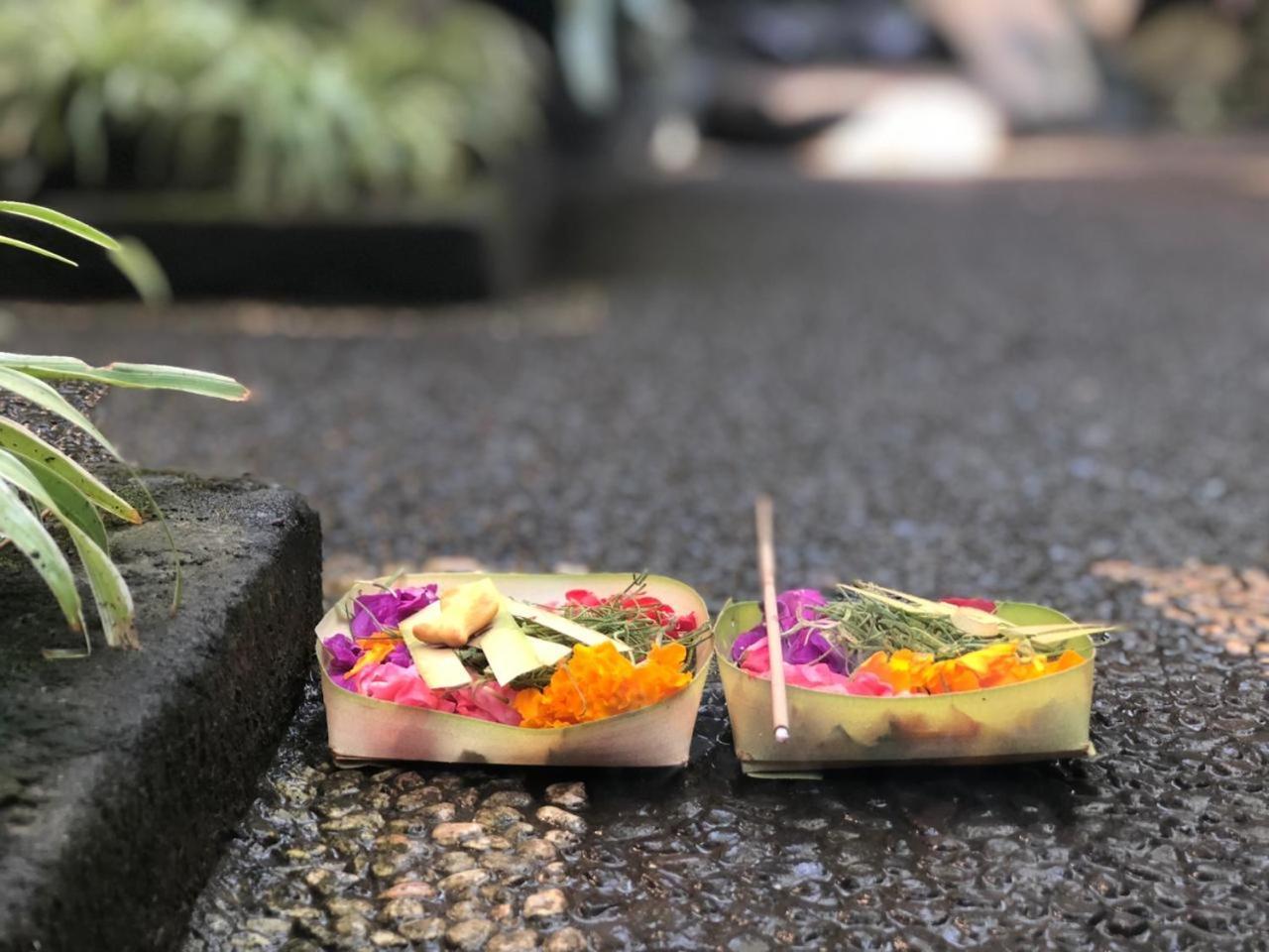 Hotel Depa House Ubud Exterior foto
